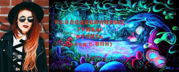 a pvp Алзамай