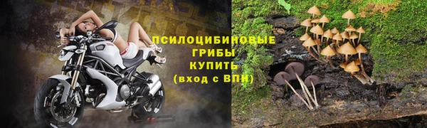 МДПВ Алексин