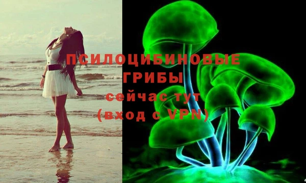 a pvp Алзамай