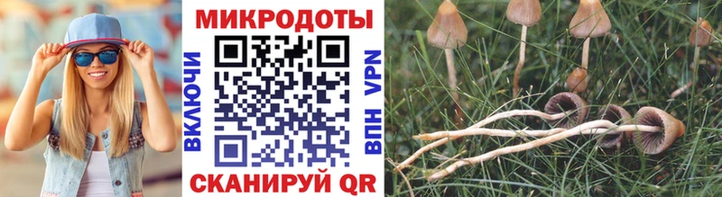 цены   Арзамас  Псилоцибиновые грибы MAGIC MUSHROOMS 