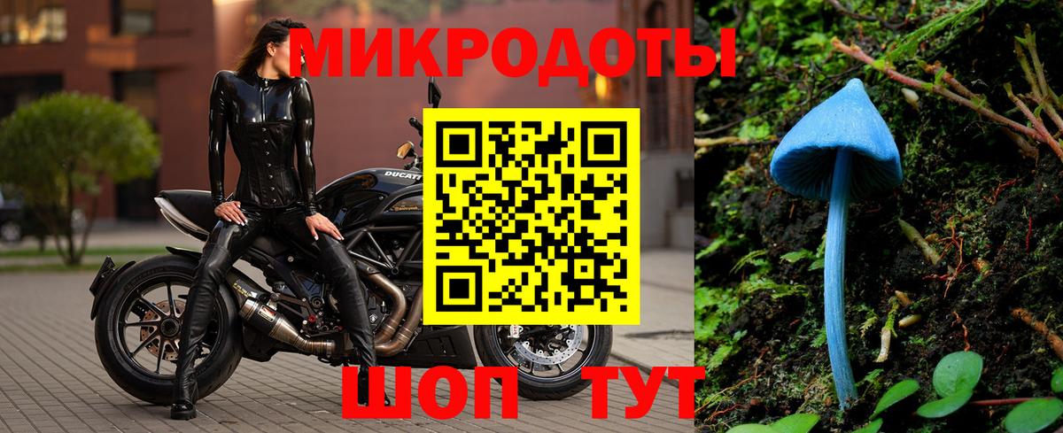 купить   Вход с VPN  Арзамас  Псилоцибиновые грибы Psilocybine cubensis 