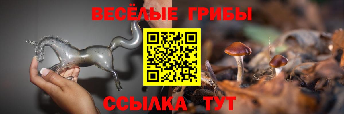 Псилоцибиновые грибы MAGIC MUSHROOMS Арзамас
